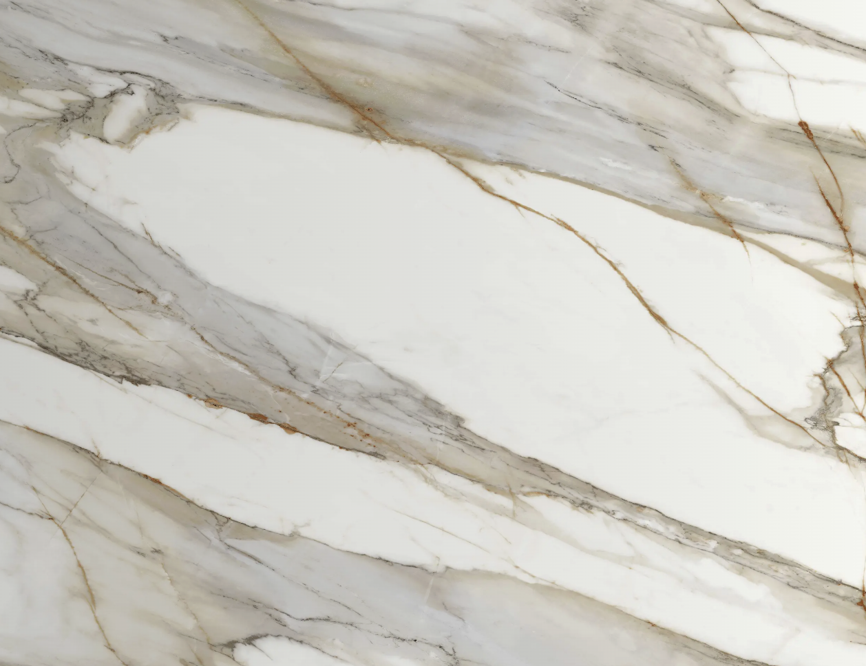 Elevate Your Interiors